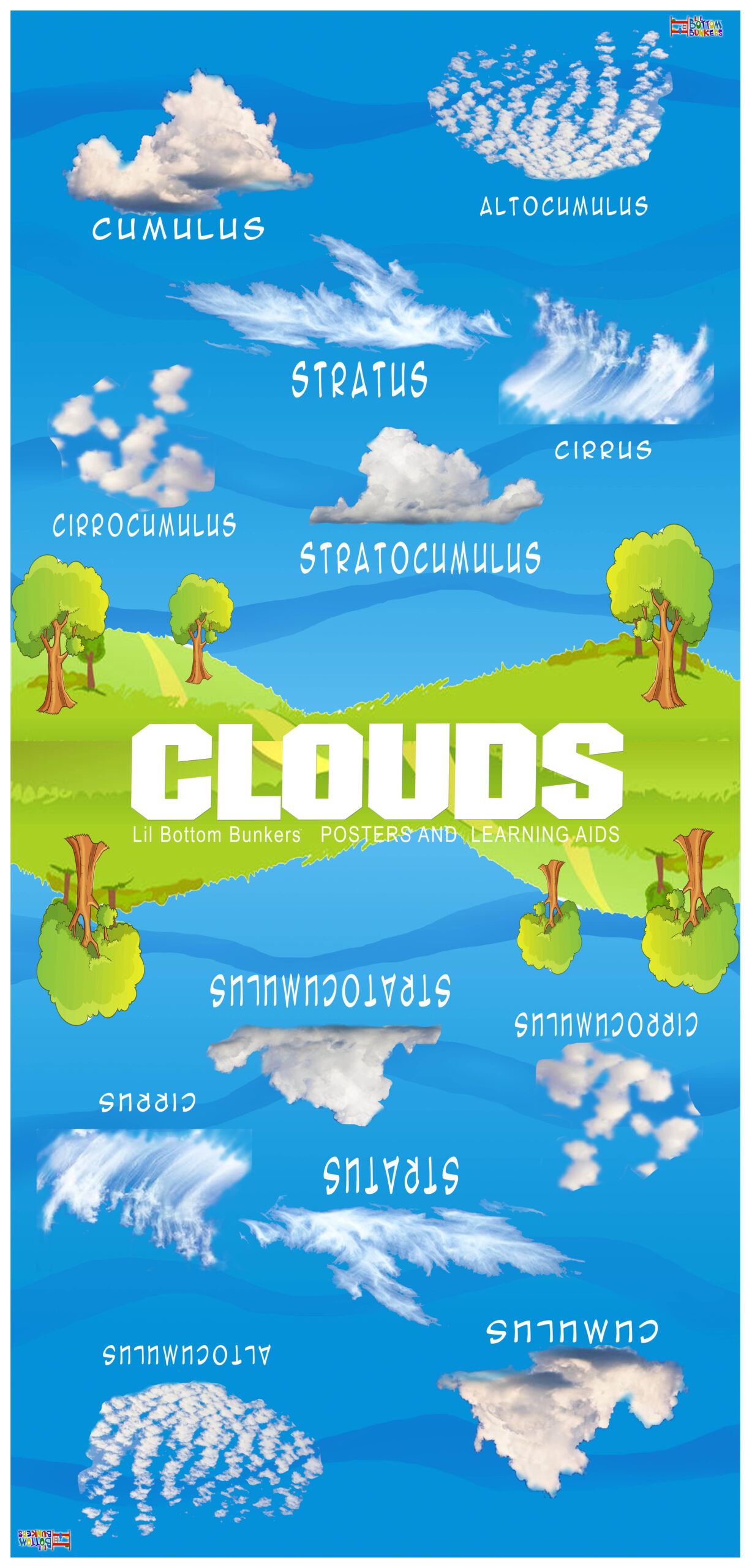 CLOUDS 35 x 74 white border 01